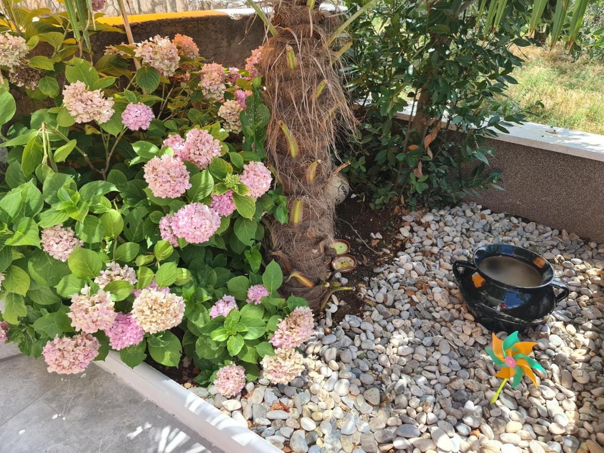 Smiljana Apartments קלימנו מראה חיצוני תמונה